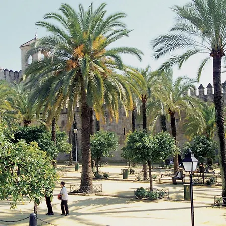 Nh カリファ コルドバ